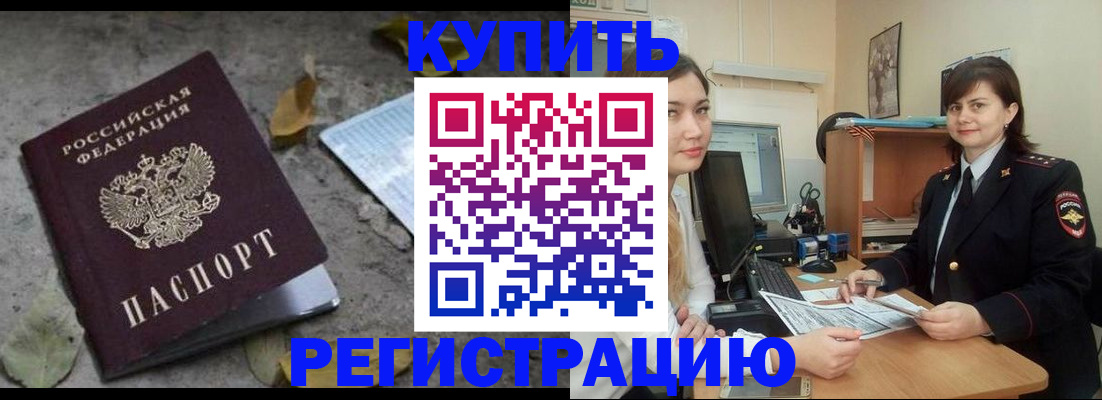 прописка гарантия в Стародубе